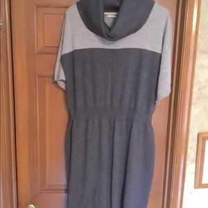 Loft Sweater Dress